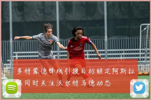 多特蒙德锋线引援目标锁定阿斯拉尼同时关注沃尔特马德动态