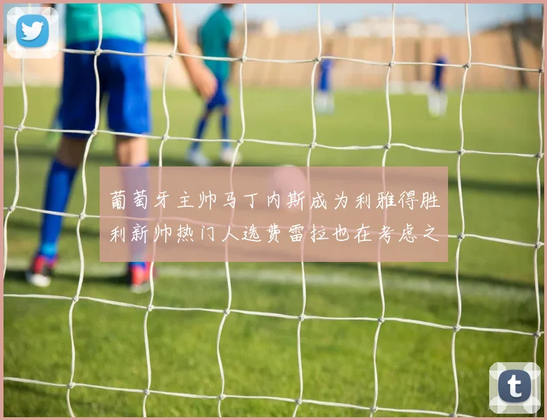 葡萄牙主帅马丁内斯成为利雅得胜利新帅热门人选费雷拉也在考虑之中